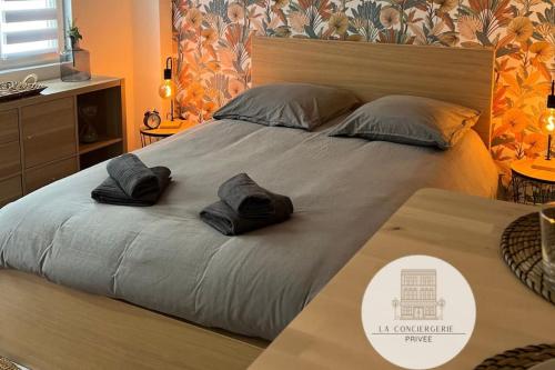 Studio Le Victor Hugo in Vierzon, France