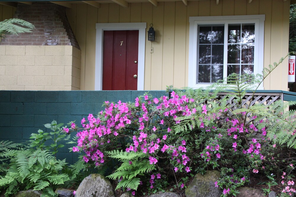 Fern Grove Cottages - photo 2