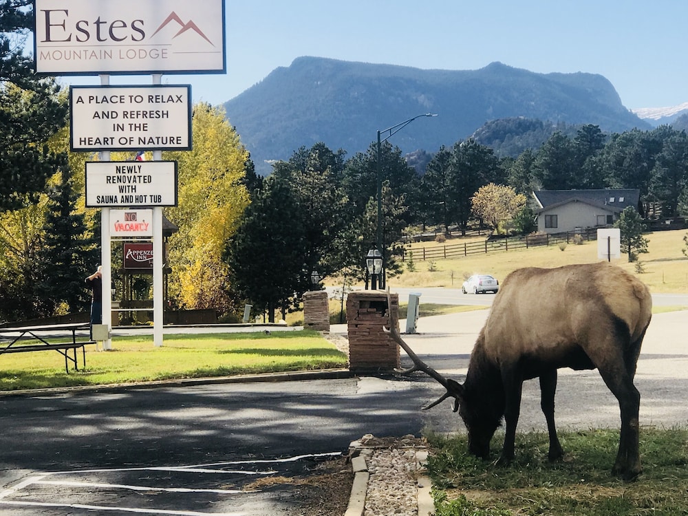 Estes Mountain Inn - photo 108