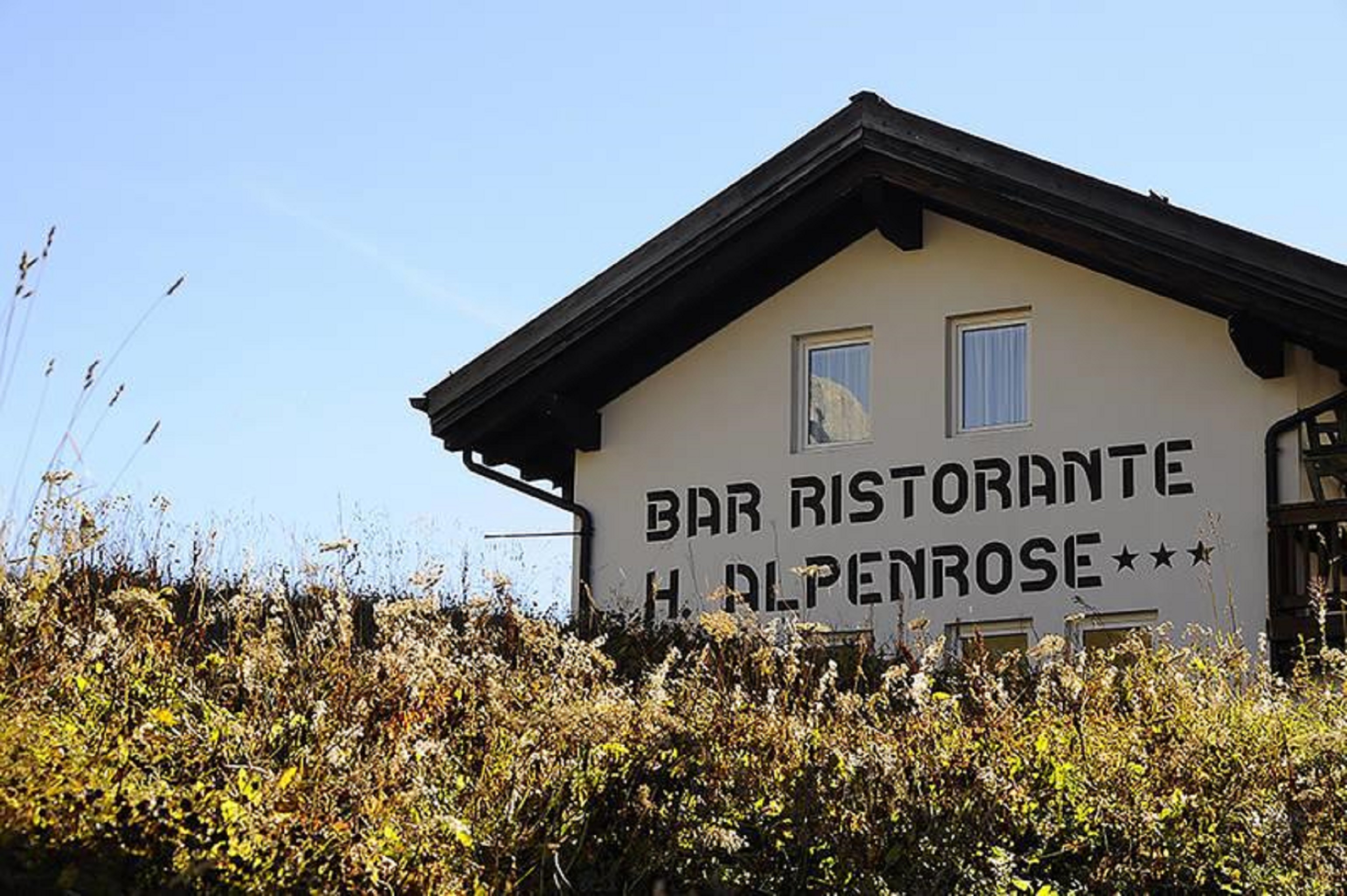 Alpenrose - last minute hotel in Trento