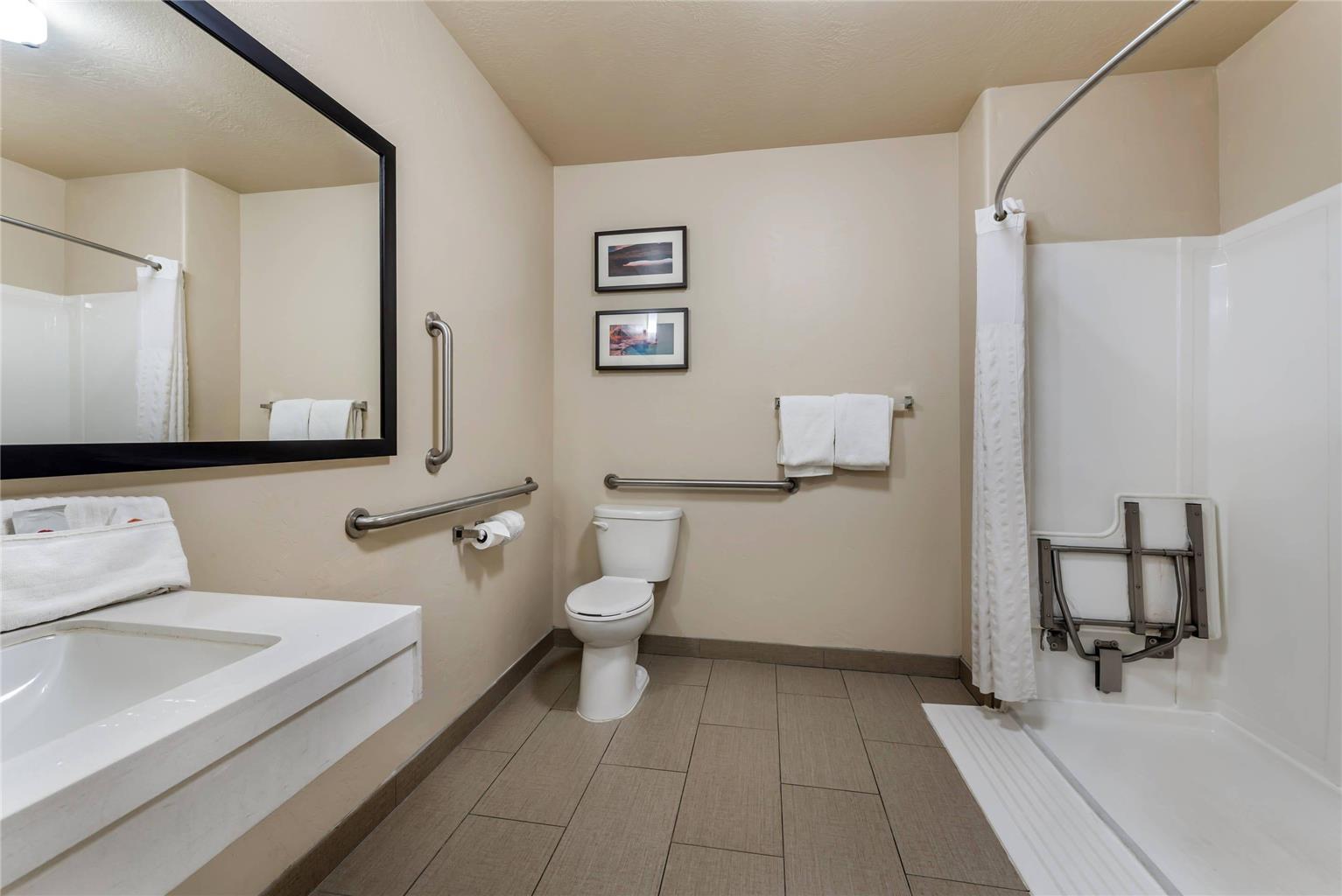 Comfort Inn & Suites Vernal National Monument Area - photo 38