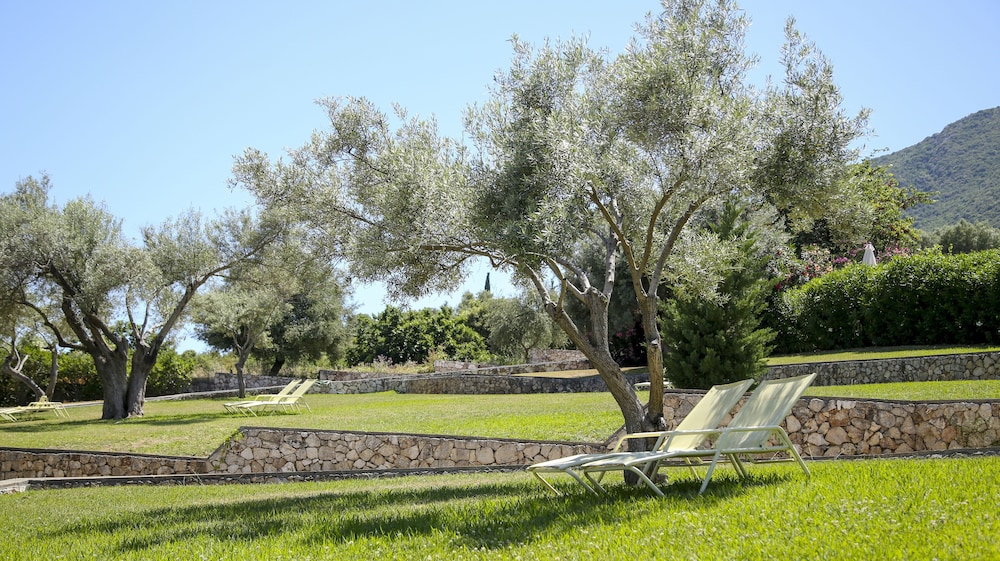 שטחי חוץ / גן