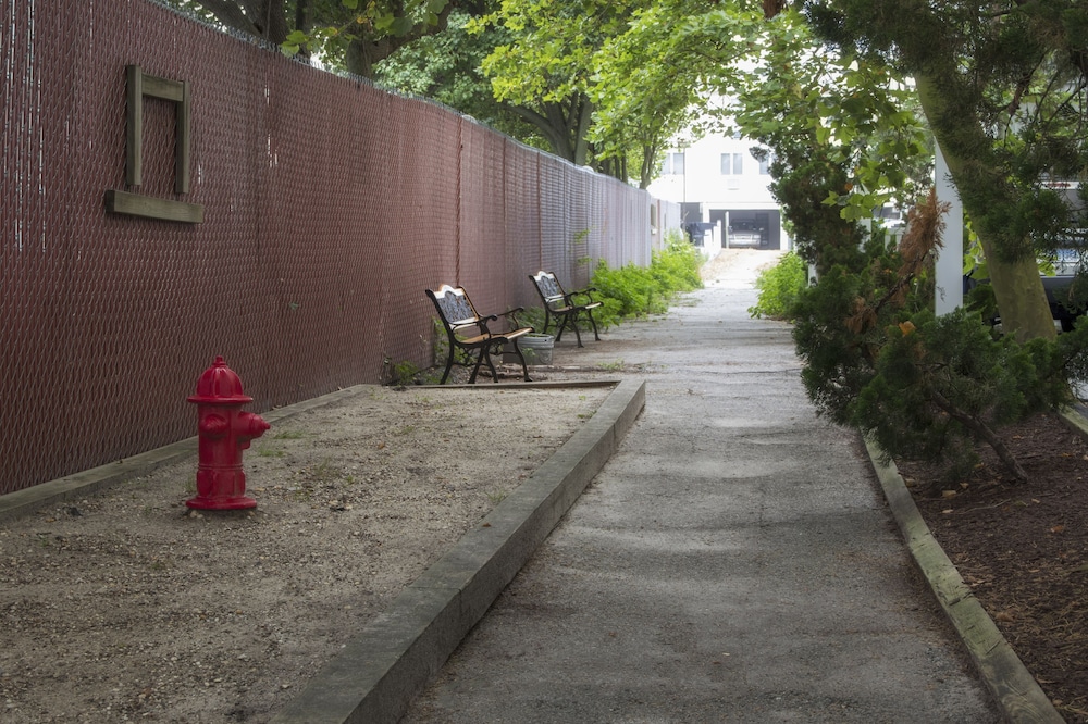 The Barefoot Mailman - photo 15