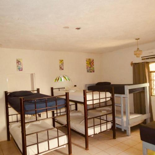 Cabañitas y Dorms — Bacalar — photo 5