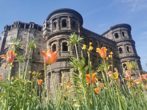 Ferienhaus am Mattheiser Wald — Trier — photo 5