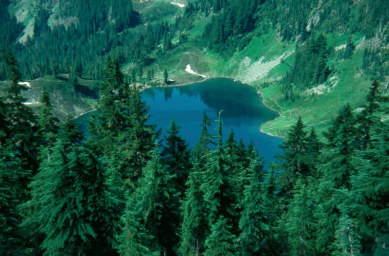 Sol Duc Hot Springs Resort - featured photo