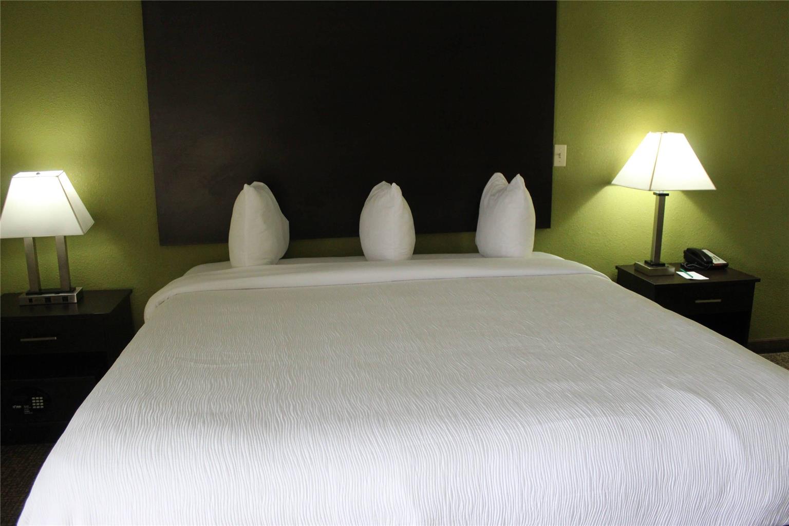 Quality Inn and Suites University Area - photo 21
