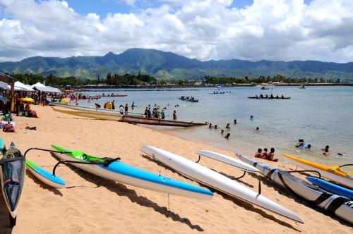 Kalani Hawaii Private Lodging - photo 43
