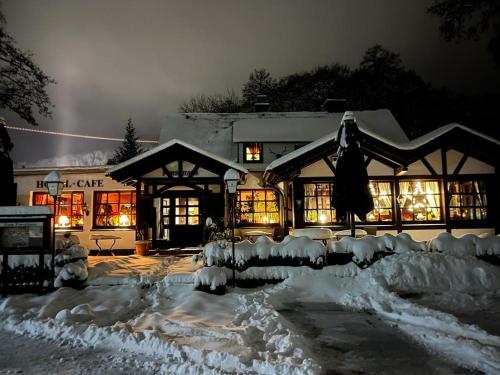 Hotel Zum Forsthaus — Willingen