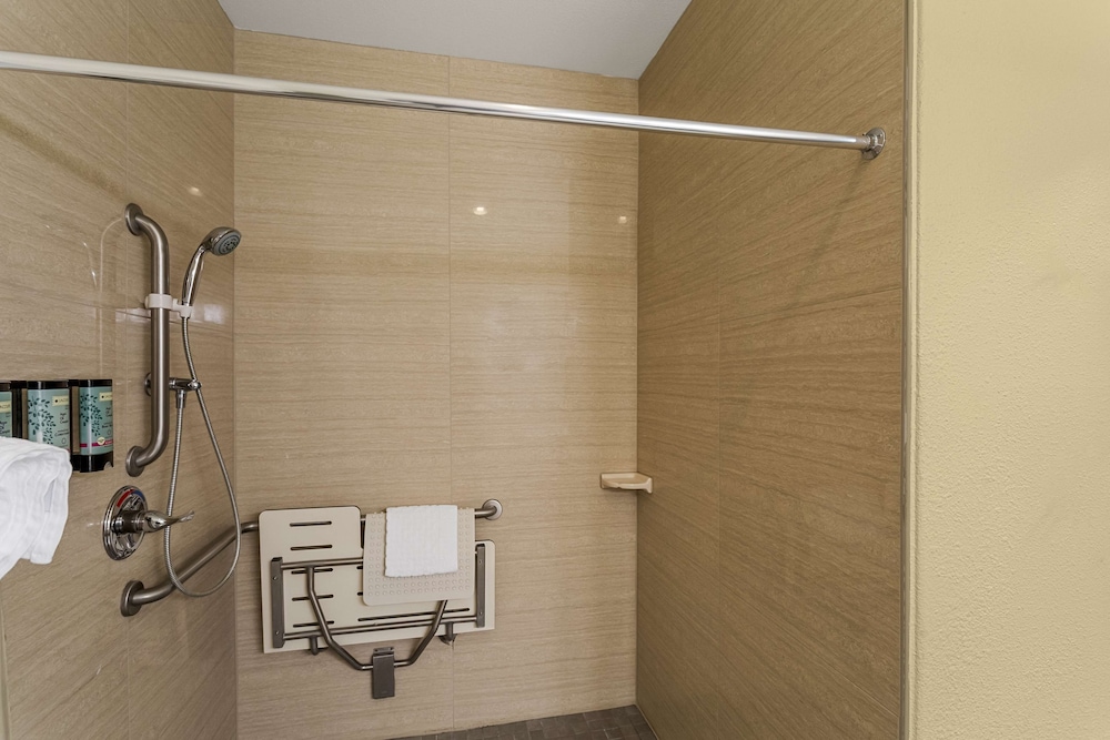 Best Western Rose Quartz Inn - photo 16