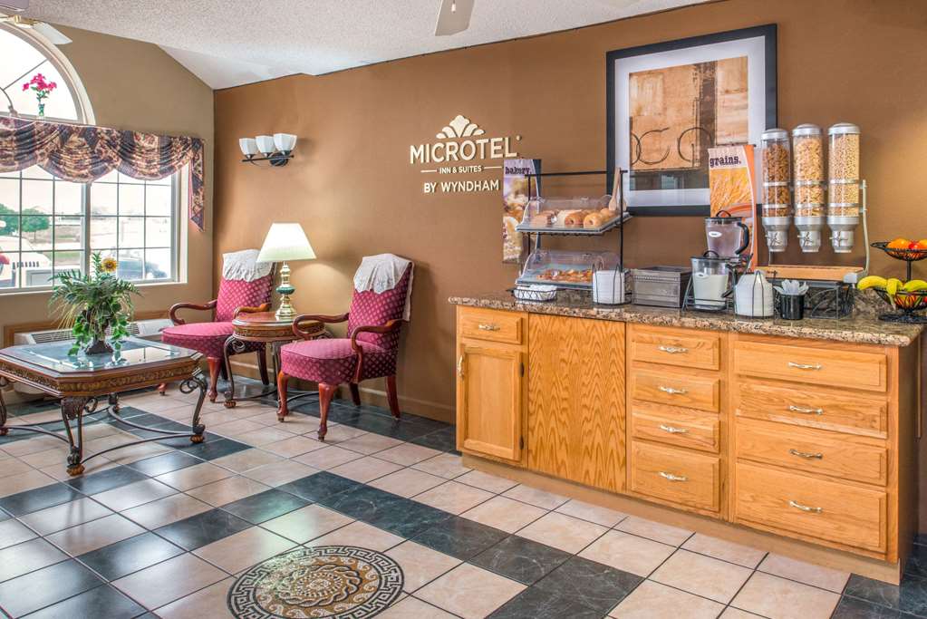 Microtel Inn & Suites by Wyndham Lincoln - photo 30