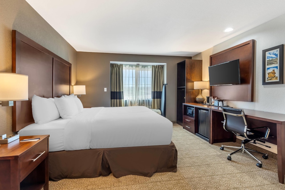 Comfort Inn & Suites Aztec Farmington Area - photo 19