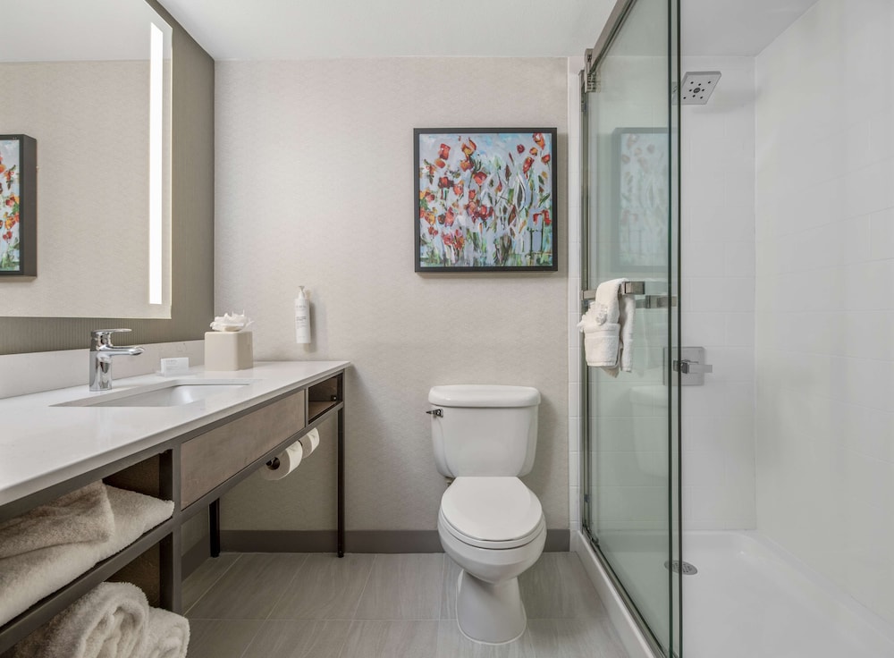 Hilton Garden Inn Dallas Allen - photo 17