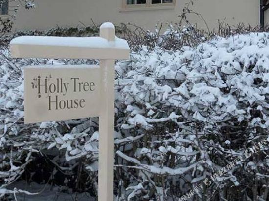 Holly Tree House — Diss — photo 4