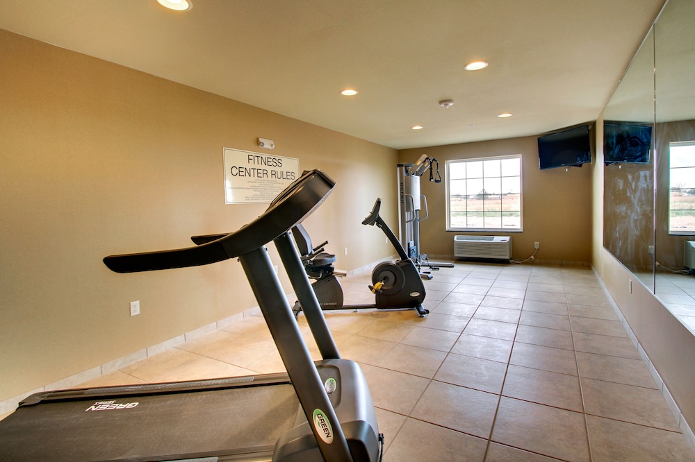 Cobblestone Hotel & Suites Pecos - photo 36