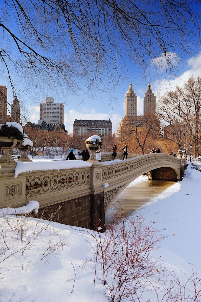 New York Hilton Midtown - photo 96