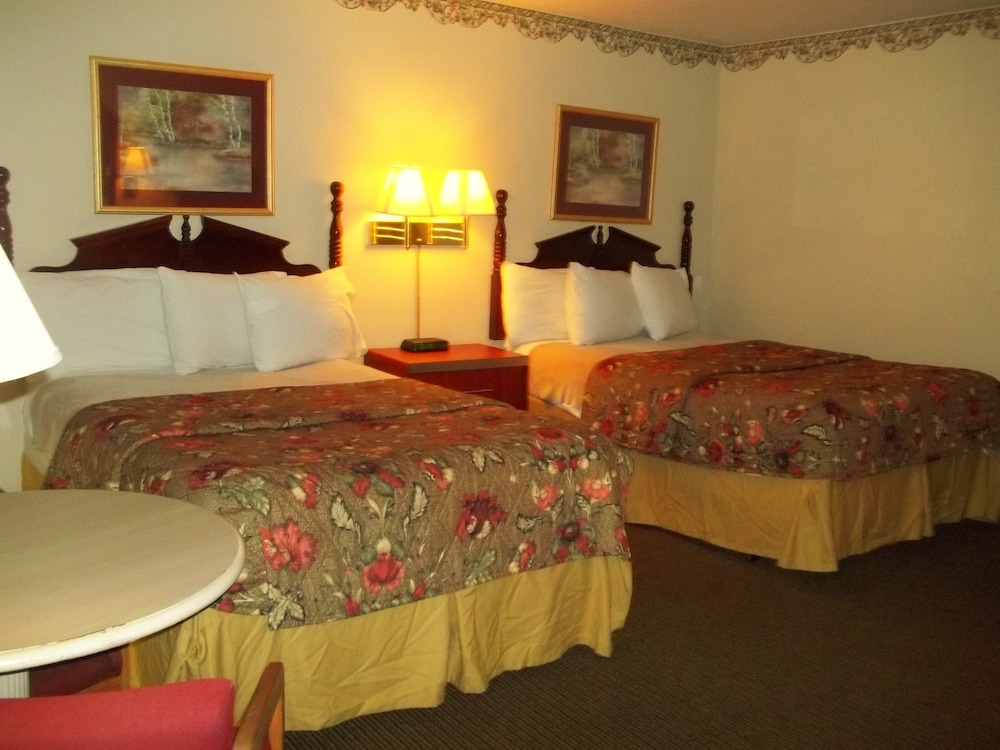 Royal Motel - photo 9