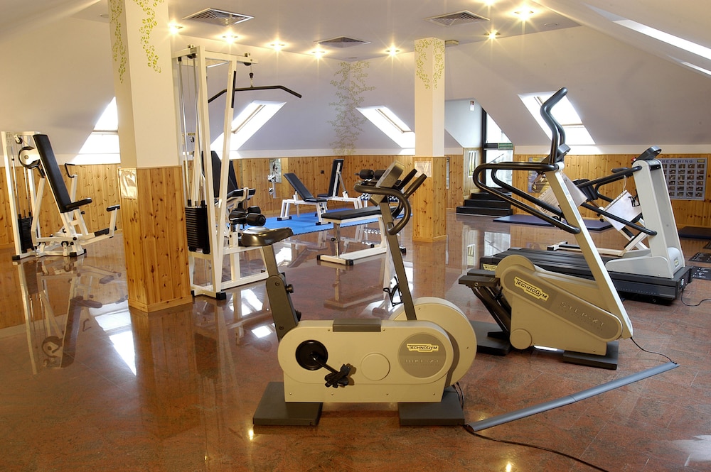 Hotel Excelsior Magenta pet-friendly hotel Magenta