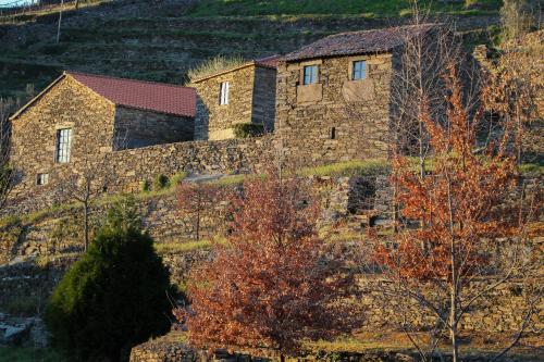 Cardenha do Douro — hotel in Mesao Frio