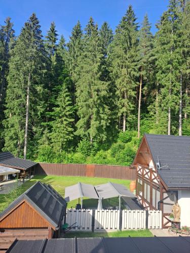 Sidka & Adam - carbon neutral hotel in Unknown City