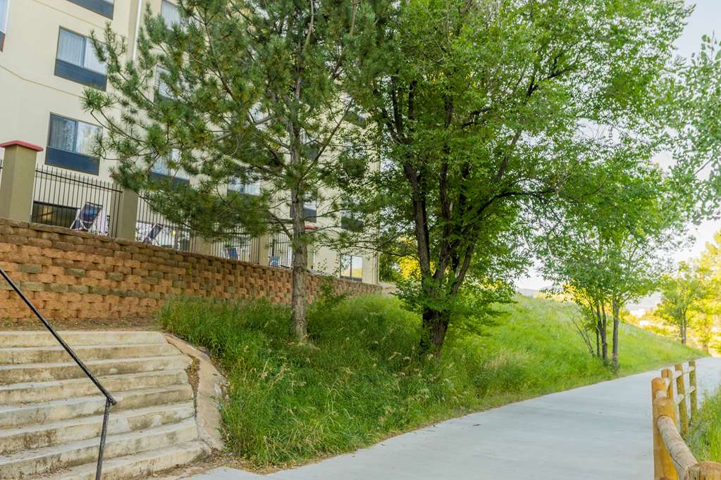 Comfort Inn North Air Force Academy Area - photo 5