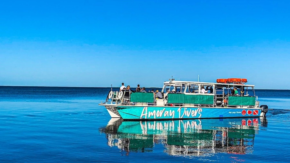 Amoray Dive Resort - photo 143