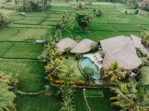 Villa Omah Padi Ubud by Adam Jyota Management — 4-Star Luxury Hotel in Ubud, Indonesia