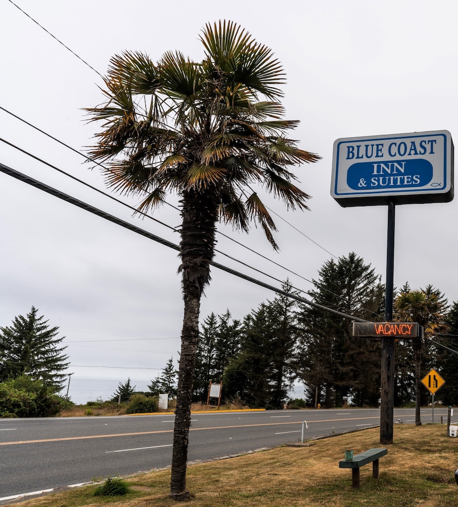 Blue Coast Inn and Suites - photo 37