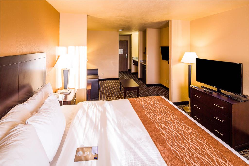 Comfort Inn & Suites Gunnison Crested Butte - photo 11