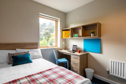 Cozy ensuite room near City Centre