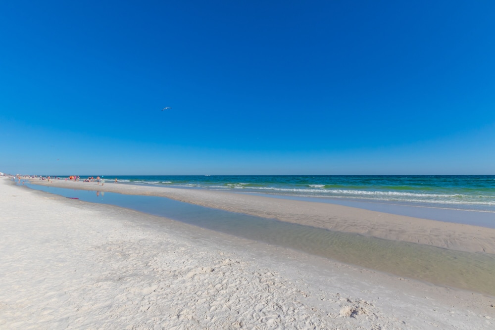 Romar Tower 5C by Meyer Vacation Rentals - photo 51
