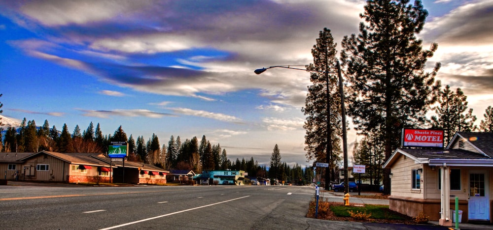 Shasta Pines Motel & Suites - photo 55