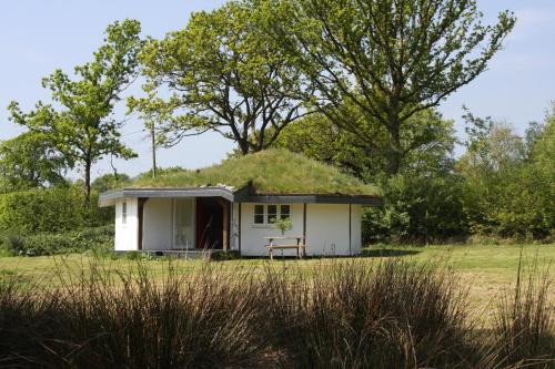 Buzzard's Nest Glamping Oak - last minute hotel in Unknown City