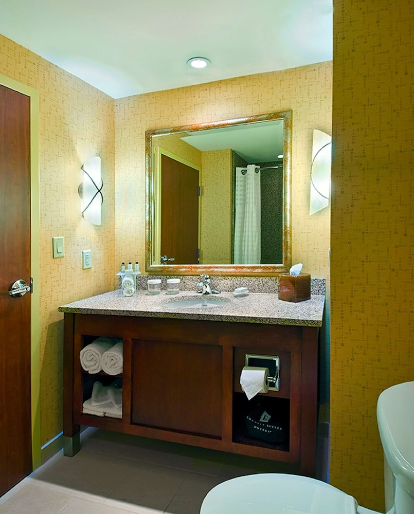 Embassy Suites by Hilton Nashville SE Murfreesboro - photo 28