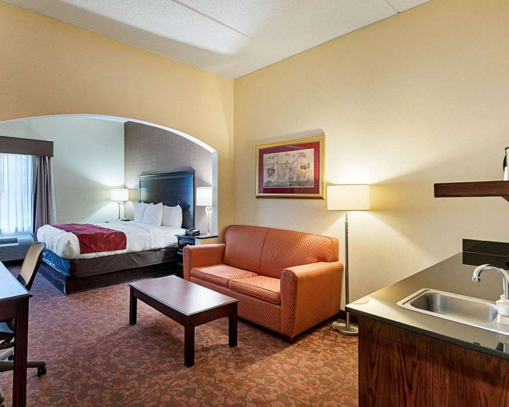 Comfort Suites Dulles Airport - photo 10