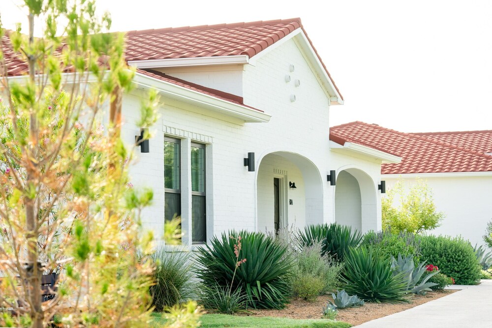 La Palmilla Texas - photo 125