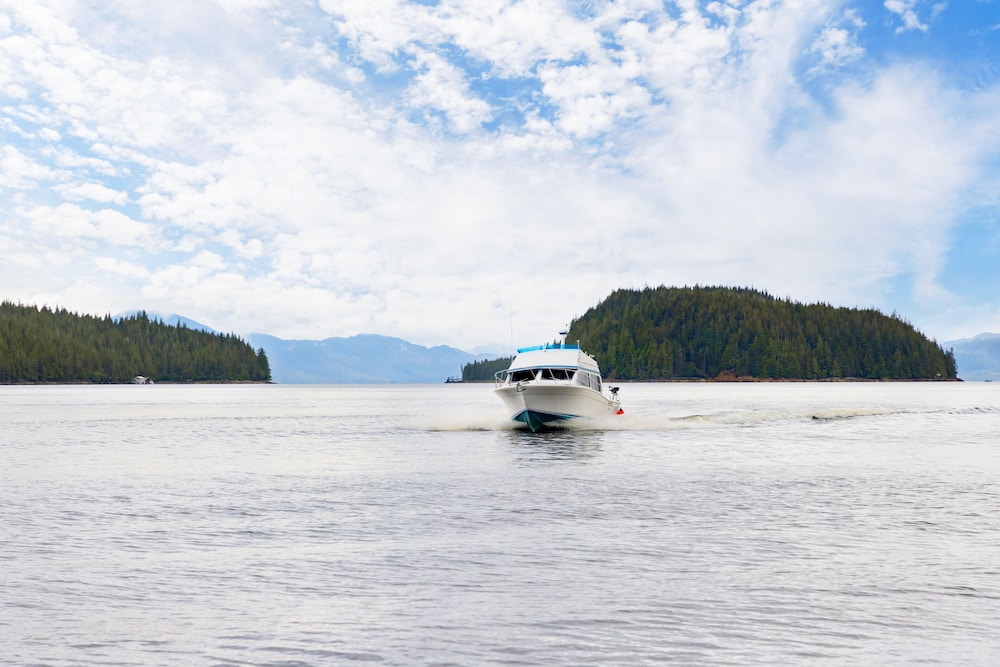 Salmon Falls Fishing Resort - photo 15