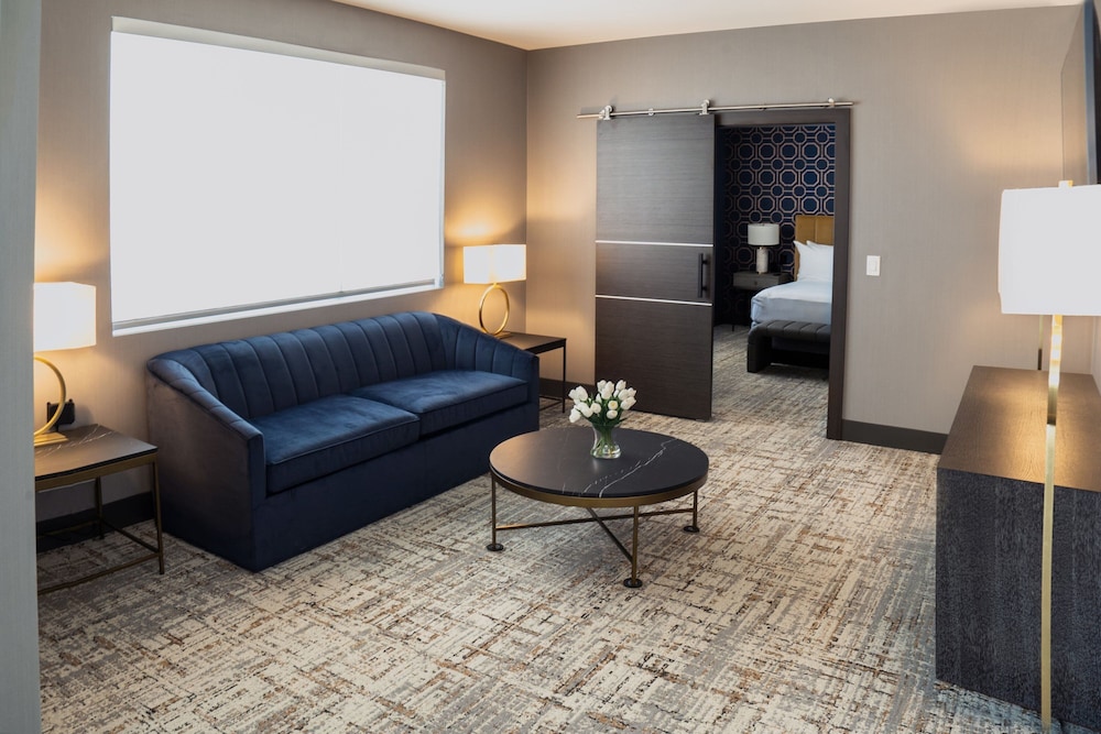 SpringHill Suites by Marriott Chicago Chinatown - photo 25