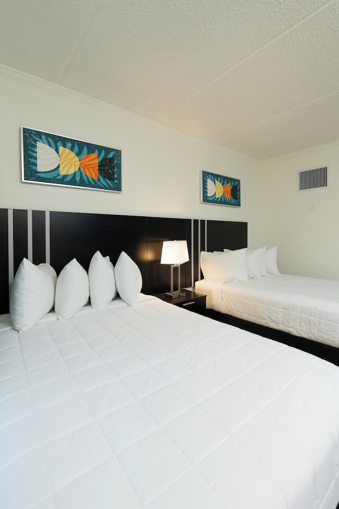 Karma Nest Tampa - photo 9