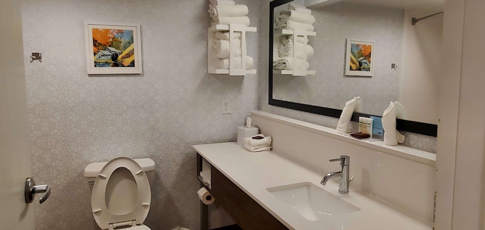 Hampton Inn Hillsville - photo 35
