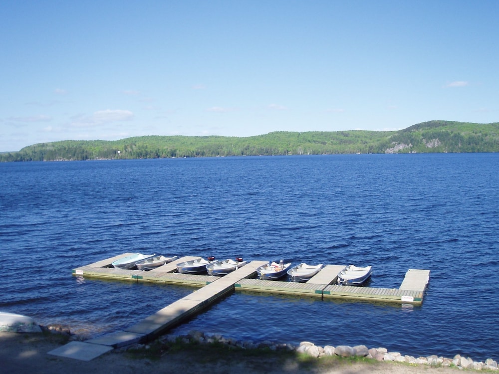 Silver Springs Cottage Resort in Bancroft, Canada