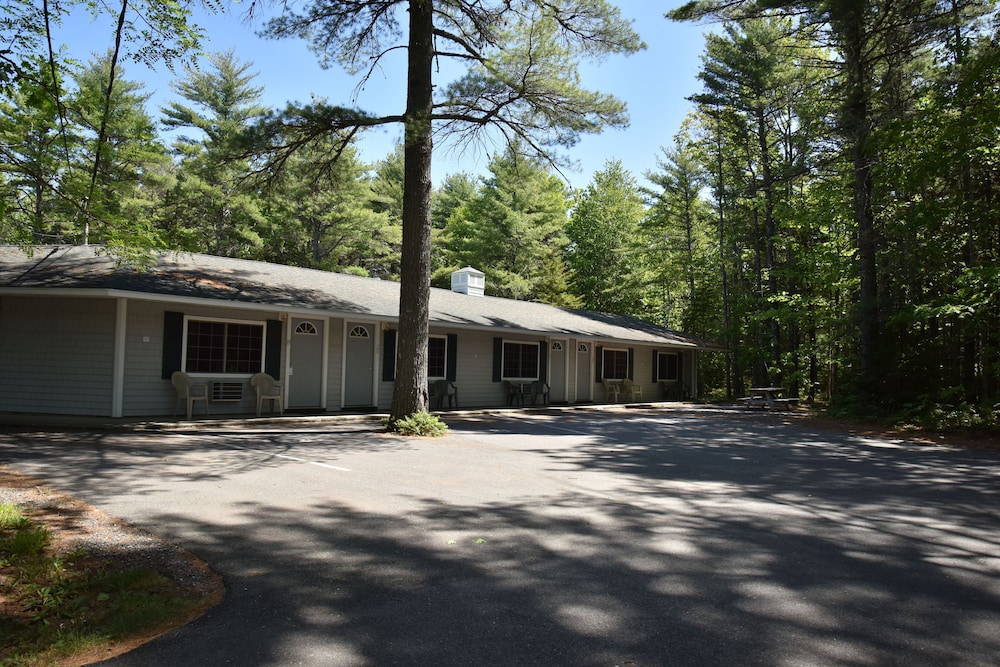 Acadia Pines Motel - photo 31