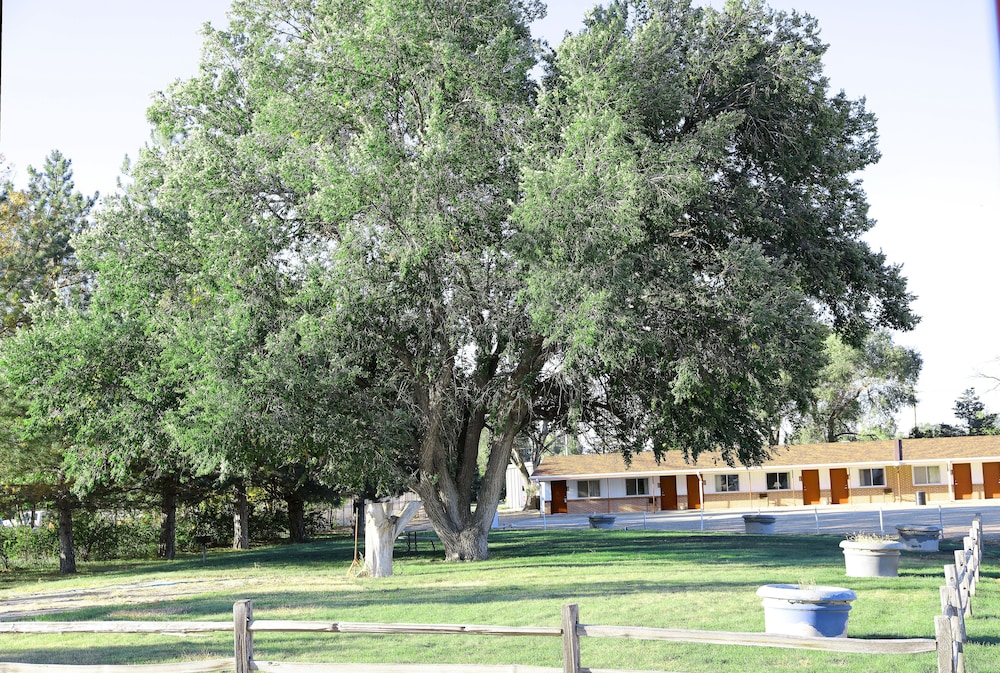 Raine Motel - photo 52