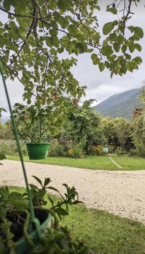 Martvili Guest House OASIS