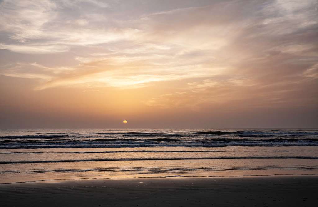 Best Western New Smyrna Beach Hotel & Suites - photo 44
