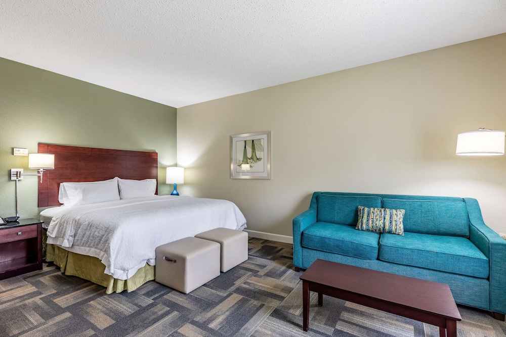 Hampton Inn & Suites Orlando South Lake Buena Vista - photo 27