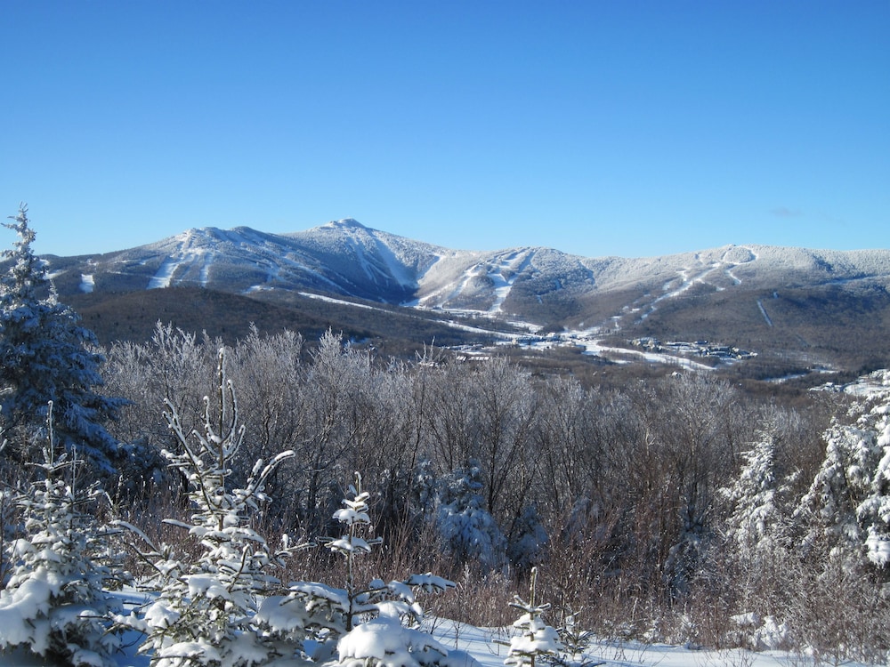 Mountain Sports Inn - photo 33