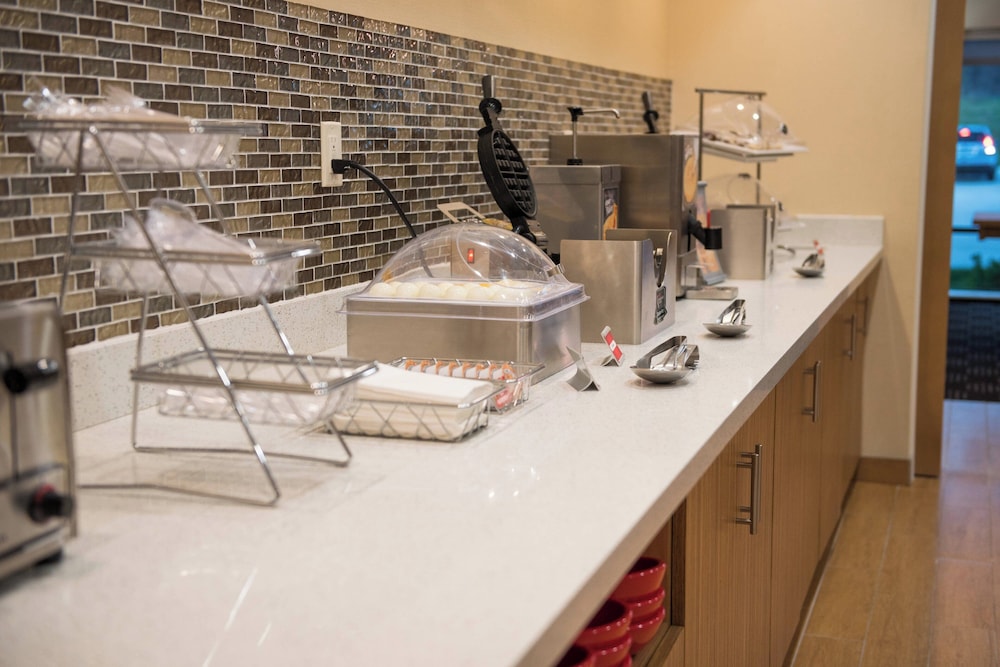TownePlace Suites by Marriott Battle Creek - photo 35