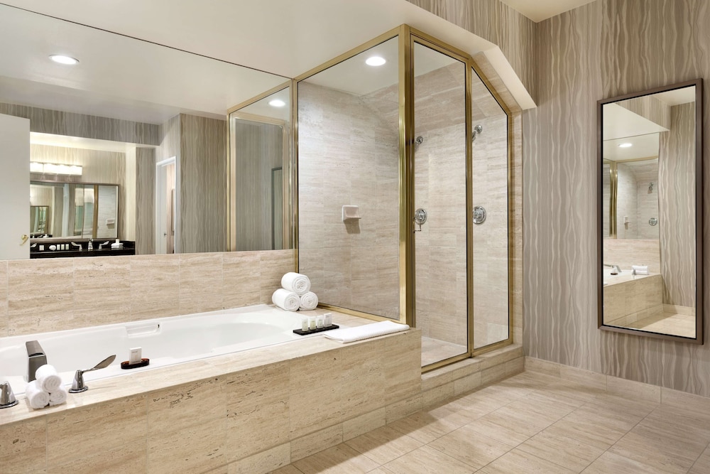 Embassy Suites by Hilton Brea North Orange County - photo 18