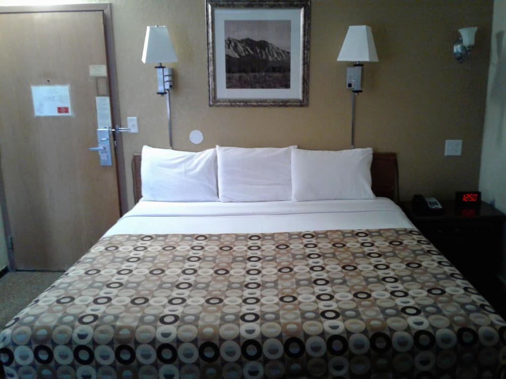 Red Carpet Inn Rochester - photo 17